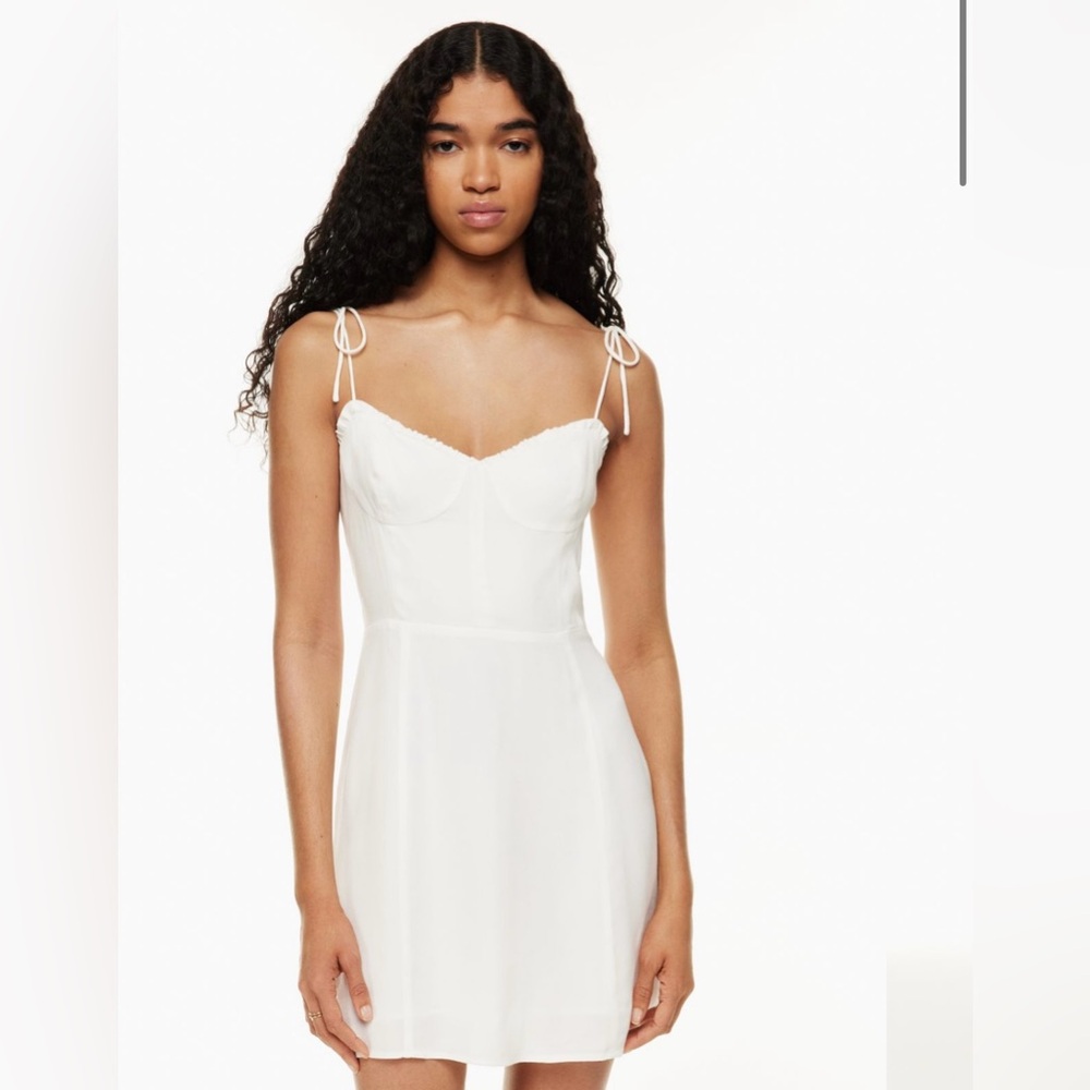 Aritzia Wilfred Fable dress